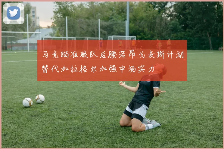 马竞瞄准狼队后腰若昂戈麦斯计划替代加拉格尔加强中场实力