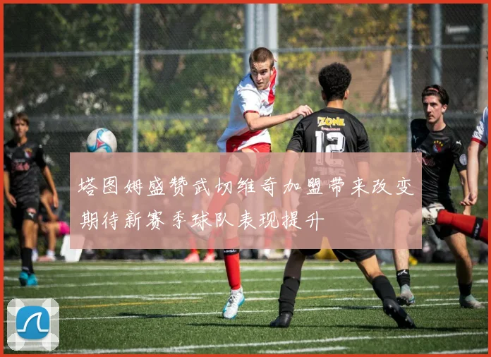 塔图姆盛赞武切维奇加盟带来改变期待新赛季球队表现提升