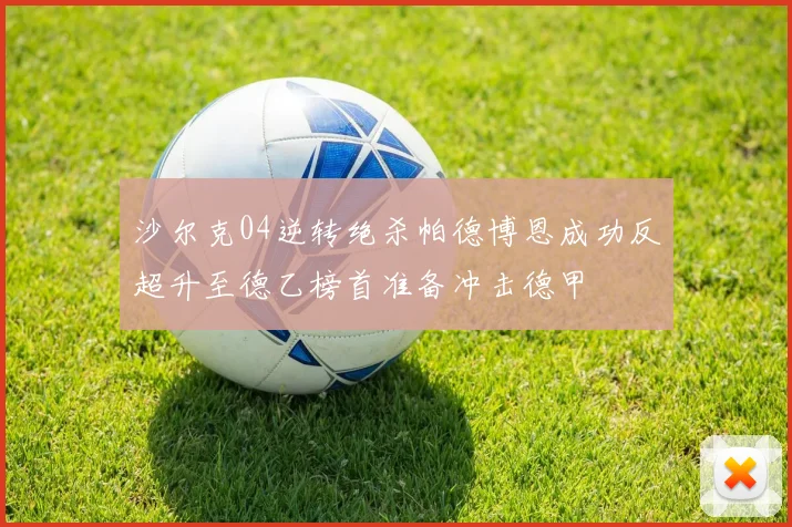 沙尔克04逆转绝杀帕德博恩成功反超升至德乙榜首准备冲击德甲