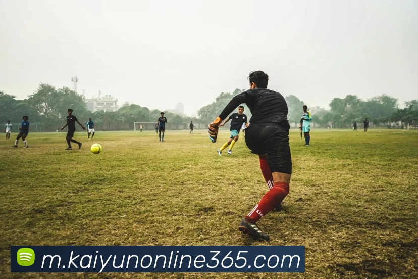 开云体育APP 封面图